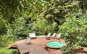 Maison Des Marronniers Bed And Breakfast